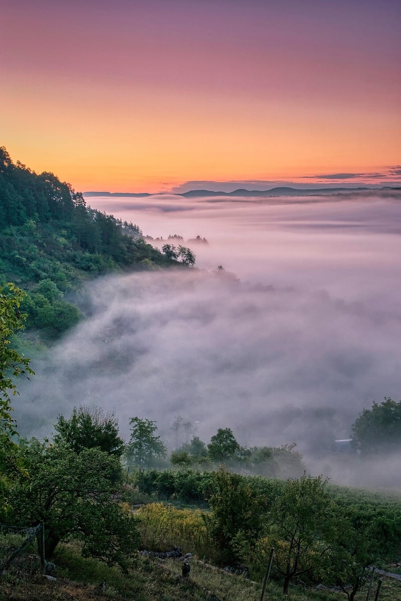 Mystical Sunset